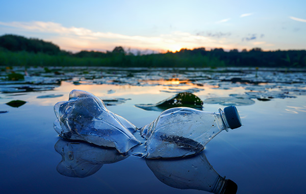 Assorted plastic bottles