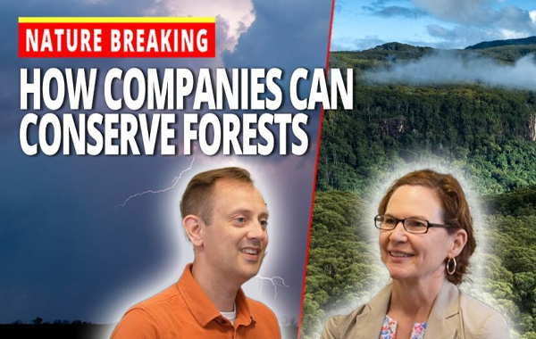 A thumbnail of Seth Larson and  Linda Walker of WWF in front of a forest and a title that says 
