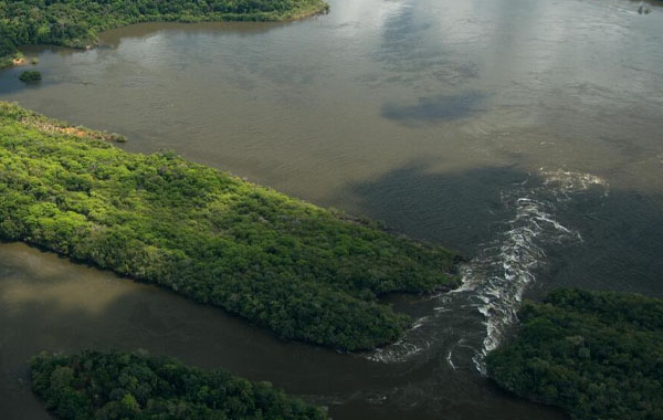 Amazon corridors