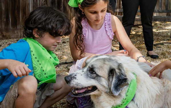 Two kids petting a dog