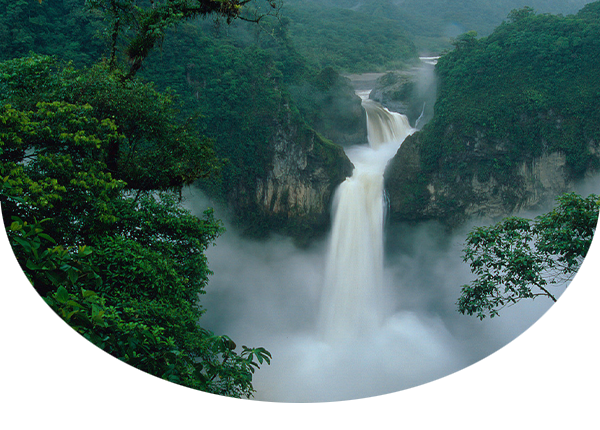 Cayambe-Coca Nature Reserve San Rafael (Coca) Falls, 150 meters high, on the Quijos River Andes Mountains Ecuador