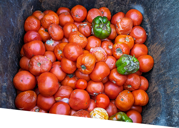 Rotting vegetables.