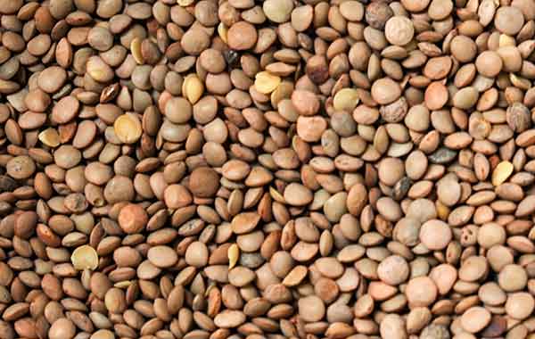 small round pieces of food