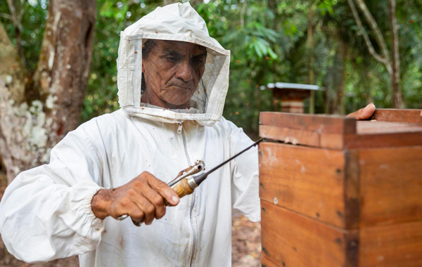 Indigenous beekeeper in protective gear