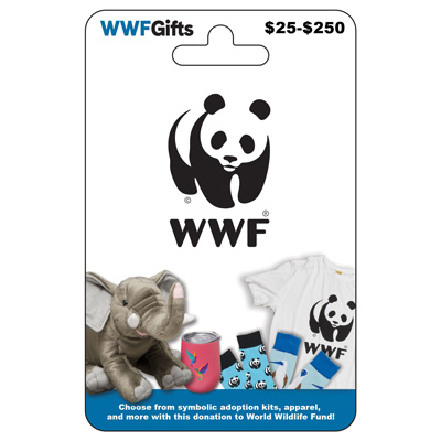 gift card featuring elephant plush and other items