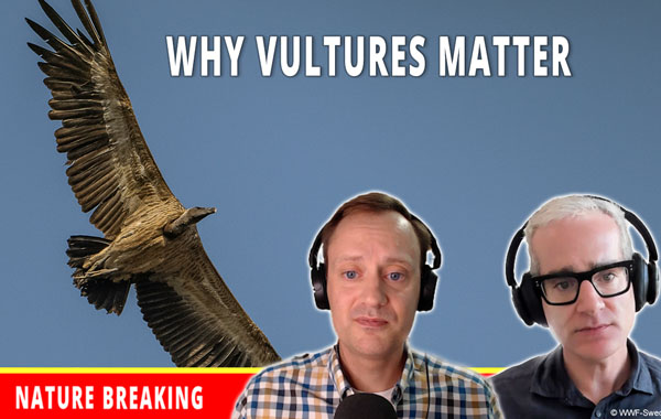 A thumbnail of Seth Larson and Professor Eyal Frank in front of a backdrop of a vulture flying in the sky