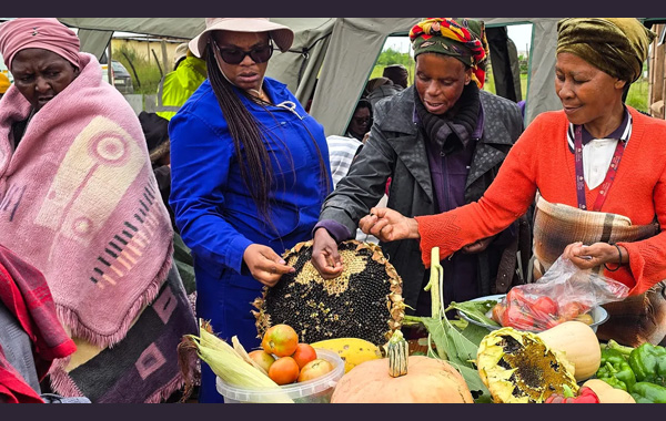 Maphafodi (Mme) Jonas (far right) displays produce from her homestead garden