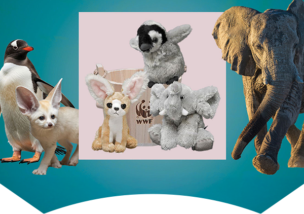 wood bucket with fennec fox, penguin and elephant plush animals and real species around them