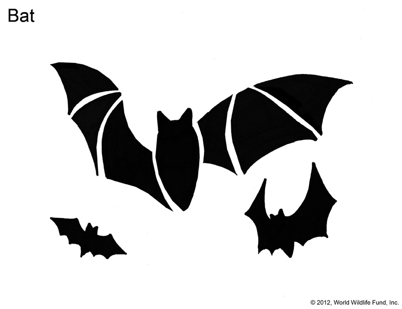 Pumpkin Patterns Free Printable Wildlife Pumpkin Patterns Free Printable Wildlife