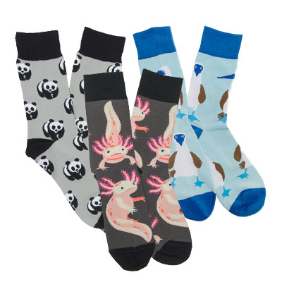 three sock design, wwf logo, axolotl, and blue-footed boobie birds
