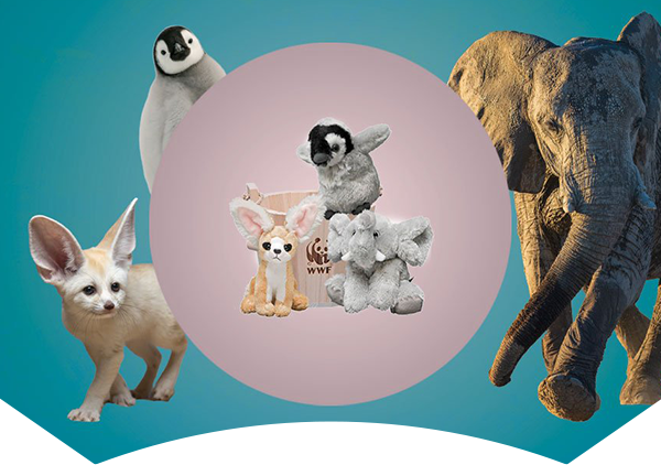 wood bucket with fennec fox, penguin and elephant plush animals and real species around them