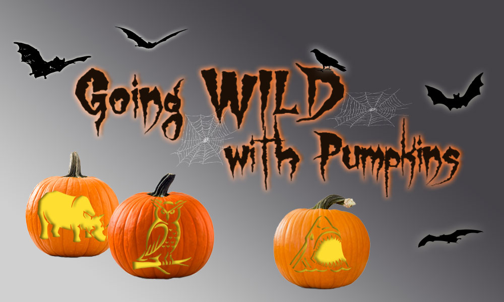 Download Pumpkin Carving Stencils from WWF | World Wildlife Fund download-pumpkin-carving-stencils-from-wwf-world-wildlife-fund