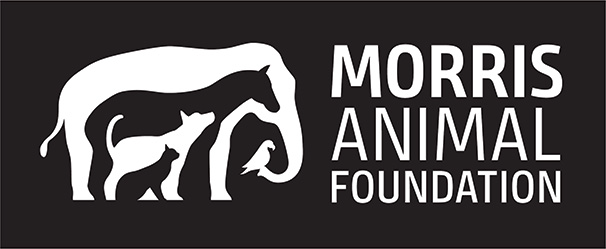 Click to visit the Morris Animal Foundation homepage