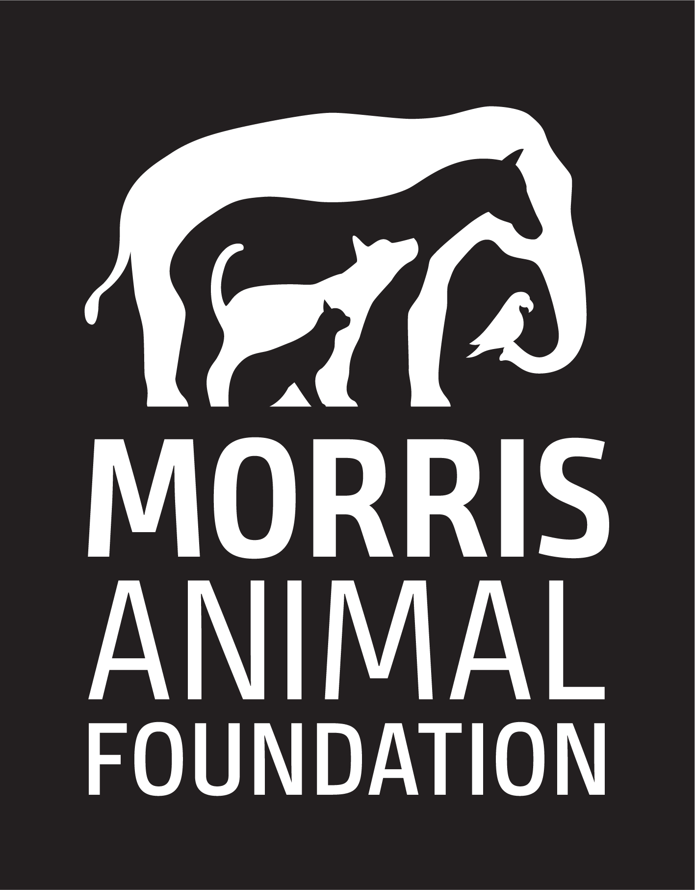 Click to visit the Morris Animal Foundation homepage