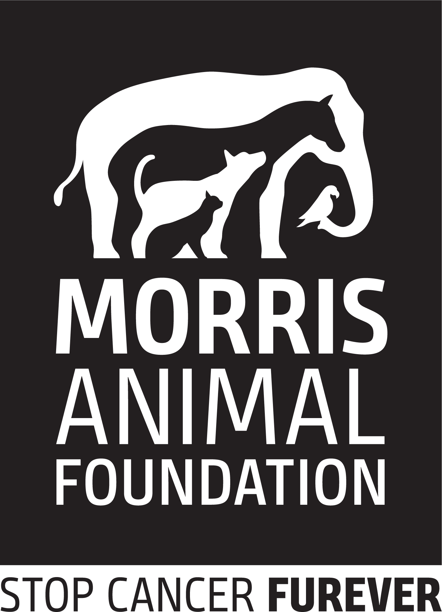 Click to visit the Morris Animal Foundation