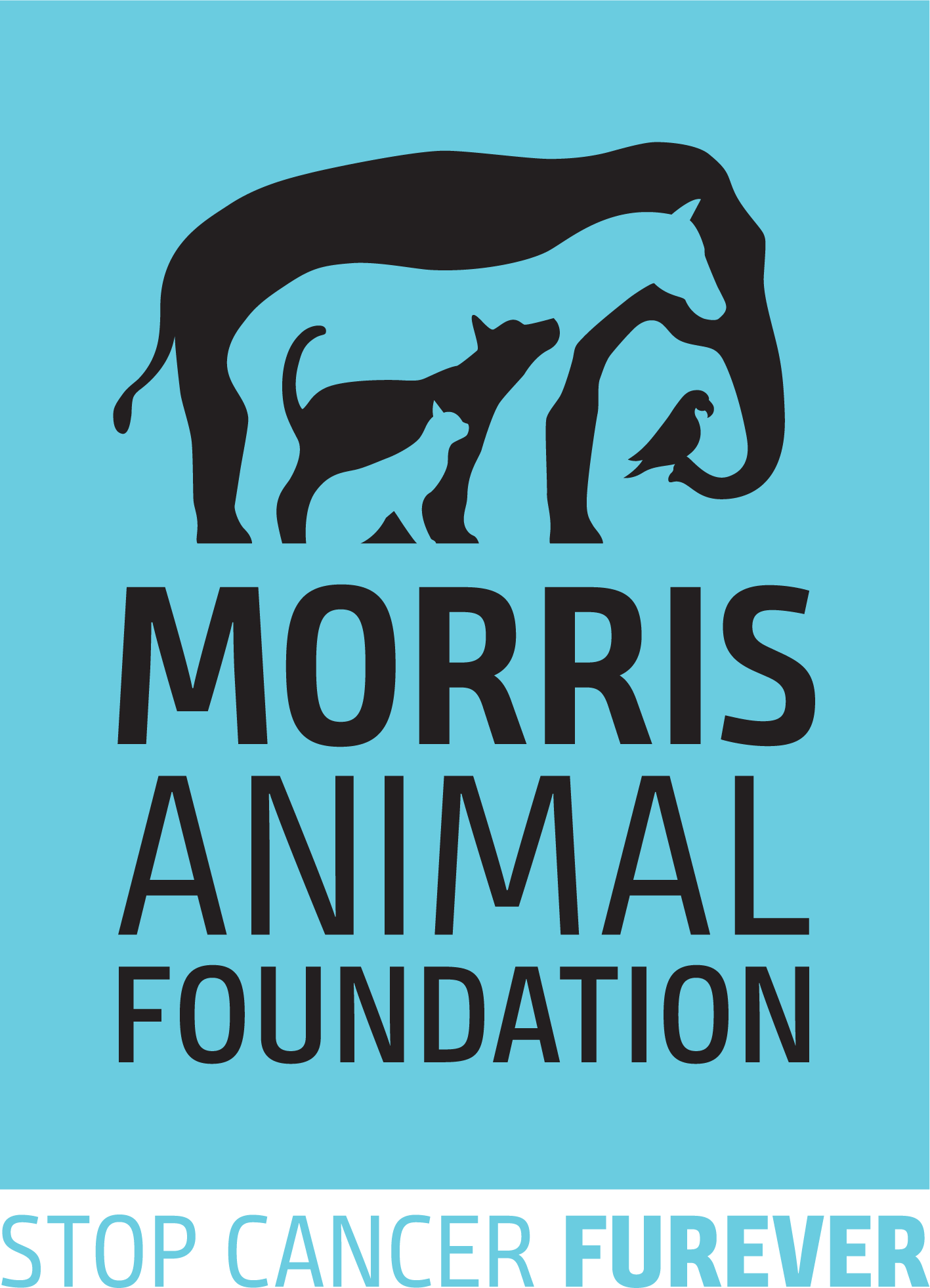 Morris Animal Foundation