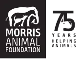 Click to visit the Morris Animal Foundation homepage