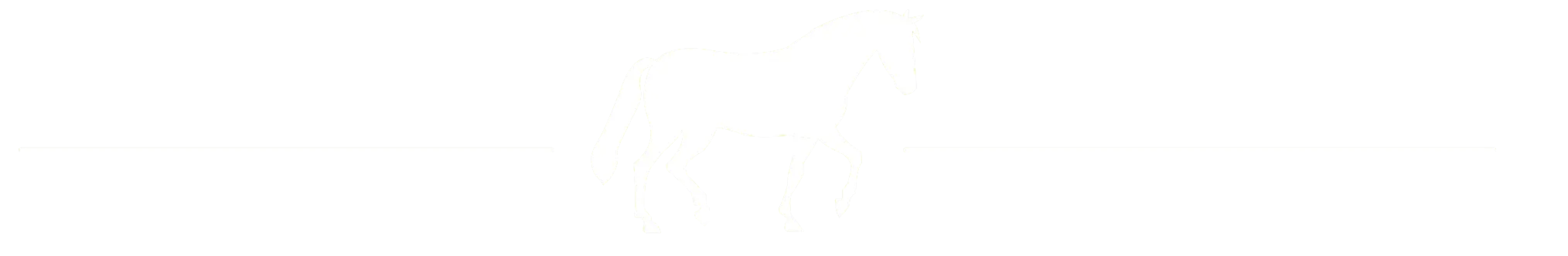 Morris Animal Foundation -Horse Icon