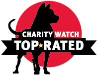 Charity Watch Top Rated