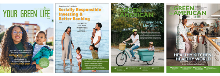 For Publication covers including Your Green Life, The Guide to Socially Resposible Investing and two issues of the Green American magazine