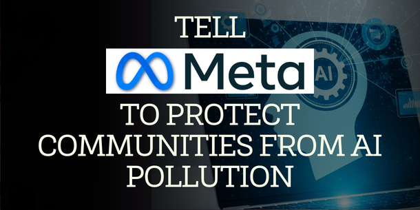 Tell Meta to protect communities from AI pollution