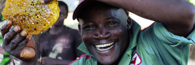 Cinnamon and Honey by African Bronze Honey