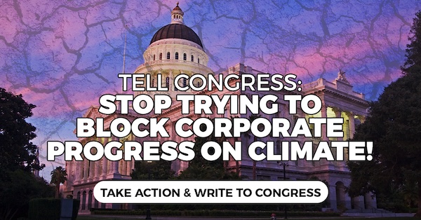 Tell Congress: Stop Trying To Block Corporate Progress on Climate!