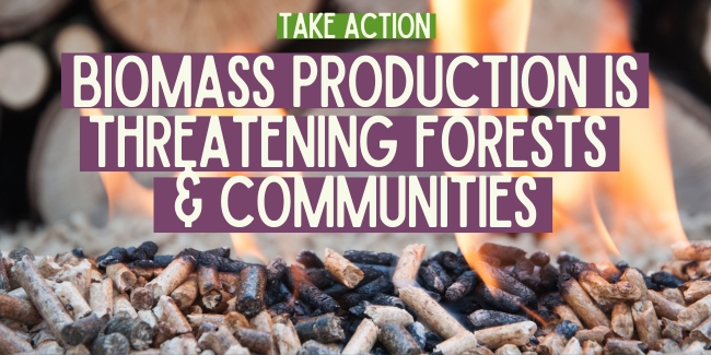 Biomass Producton is Threatening Forests & Communities