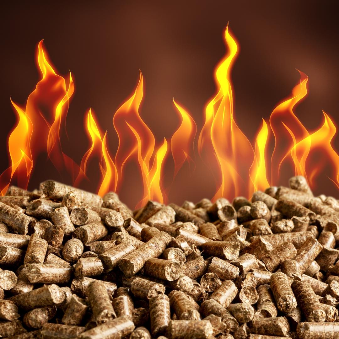 Buring Wood Pellets