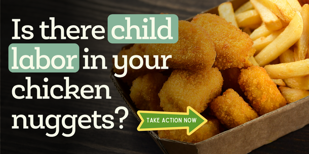Is there child labor in your chicken nuggets?