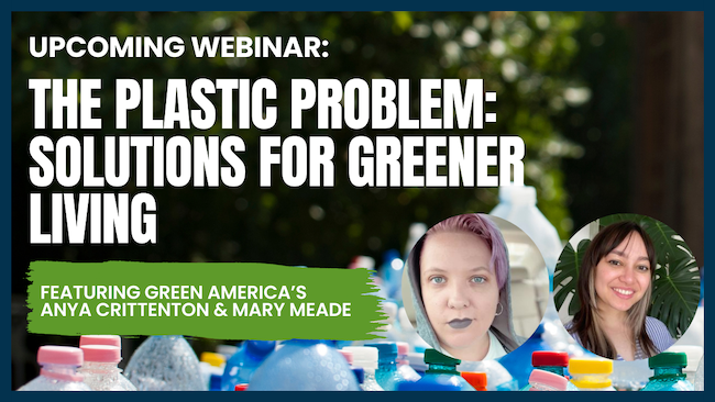 The Plastic Problem: Solutions for Greener Living