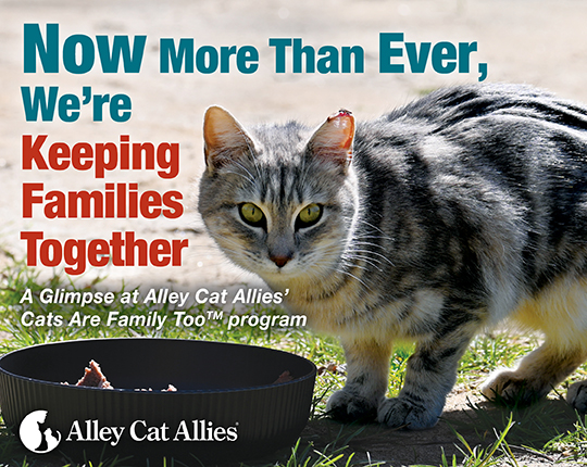 Spring Newsletter