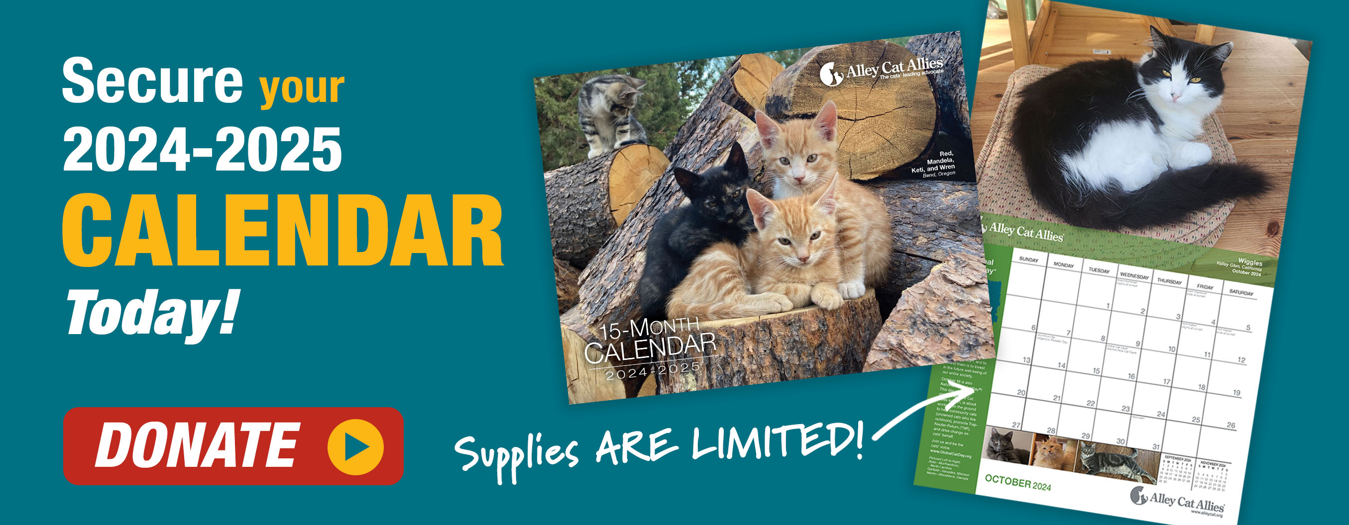 Secure your 2024-2025 Alley Cat Allies Calendar Today!