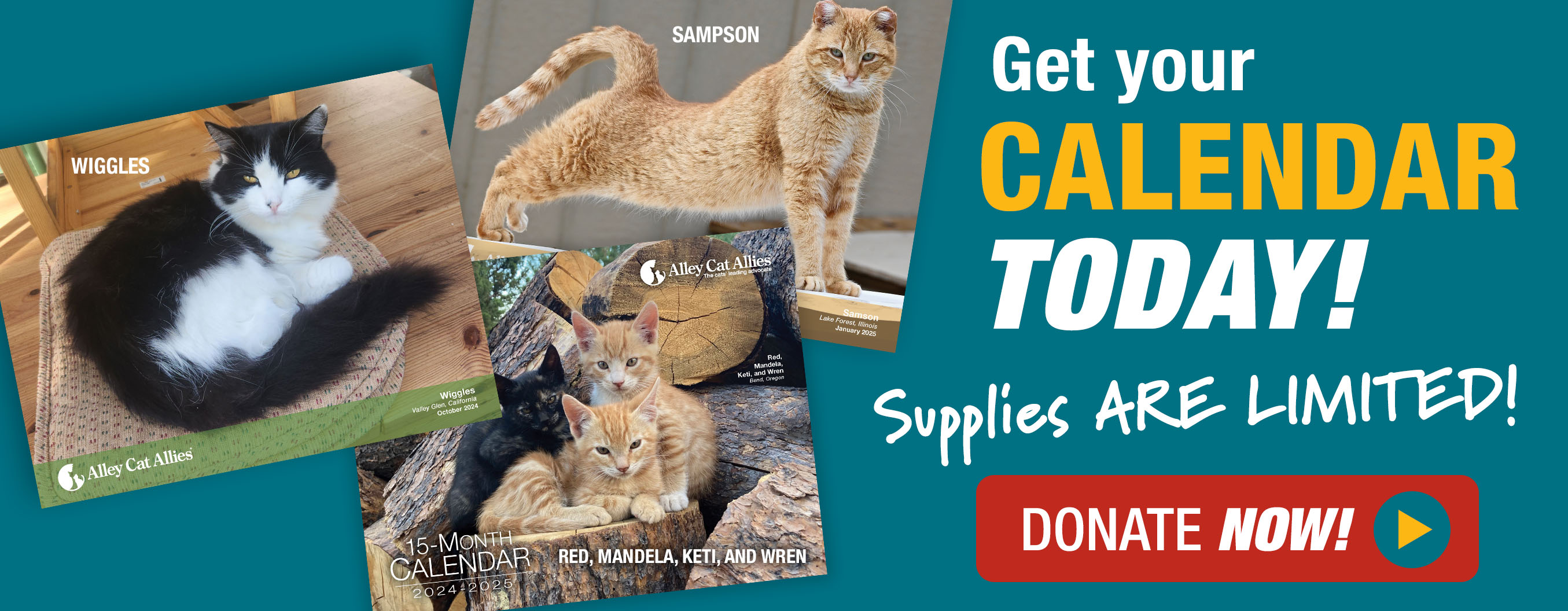 Get your 2024-2025 Alley Cat Allies Calendar Today!