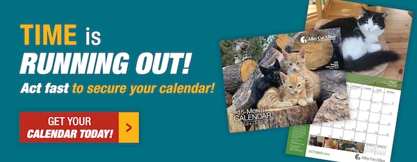 Time is Running Our: Get your 2024-2025 Alley Cat Allies Calendar Today!