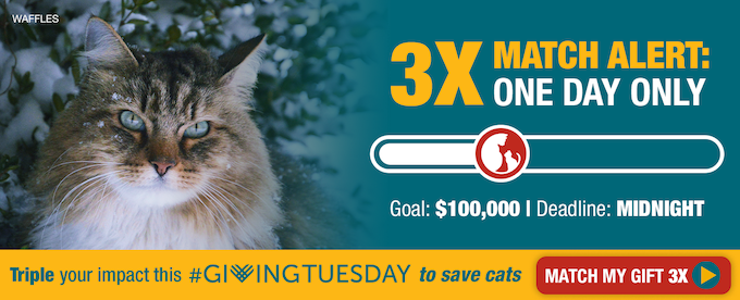 3X Match Alert: One Day Only. Goal: $100,000 | Deadline: Midnight