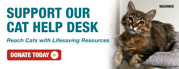 Support our cat help desk. Reach cats with lifesaving resources