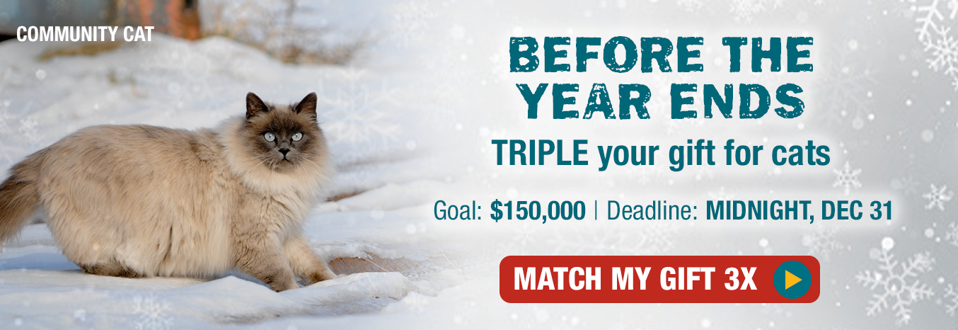 Before the year ends TRIPLE your gift for cats. Goal: $150,000 Deadline: December 31
