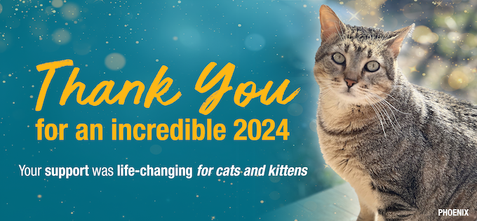 Thank you for an incredible 2024