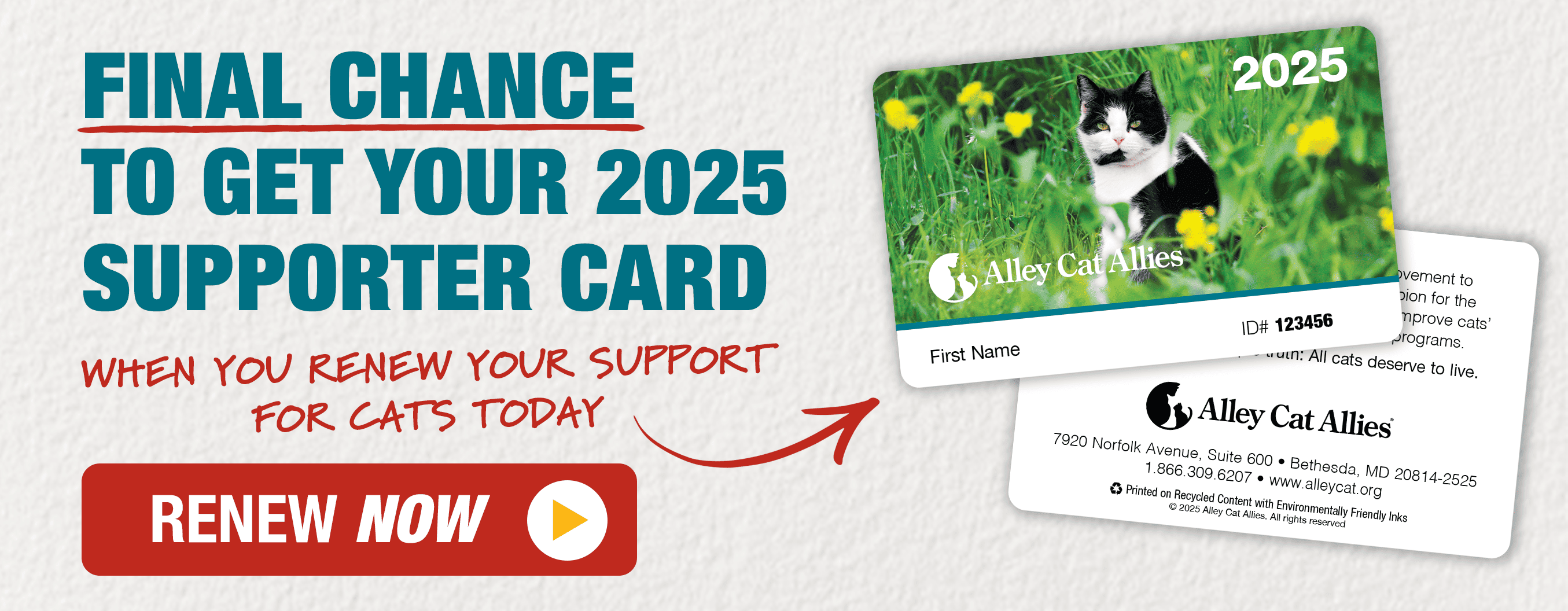 Final chance to get your 2025 supporter card