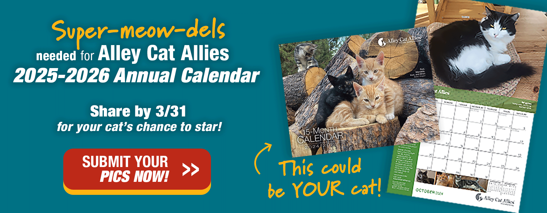 Calling all super-meow-dels for Alley Cat Allies 2025-2026 Annual Calendar! [Image: 2024 calendar cover with arrow and script font “This could be YOUR cat!” Share by 3/31 for your cat’s chance to become a star!