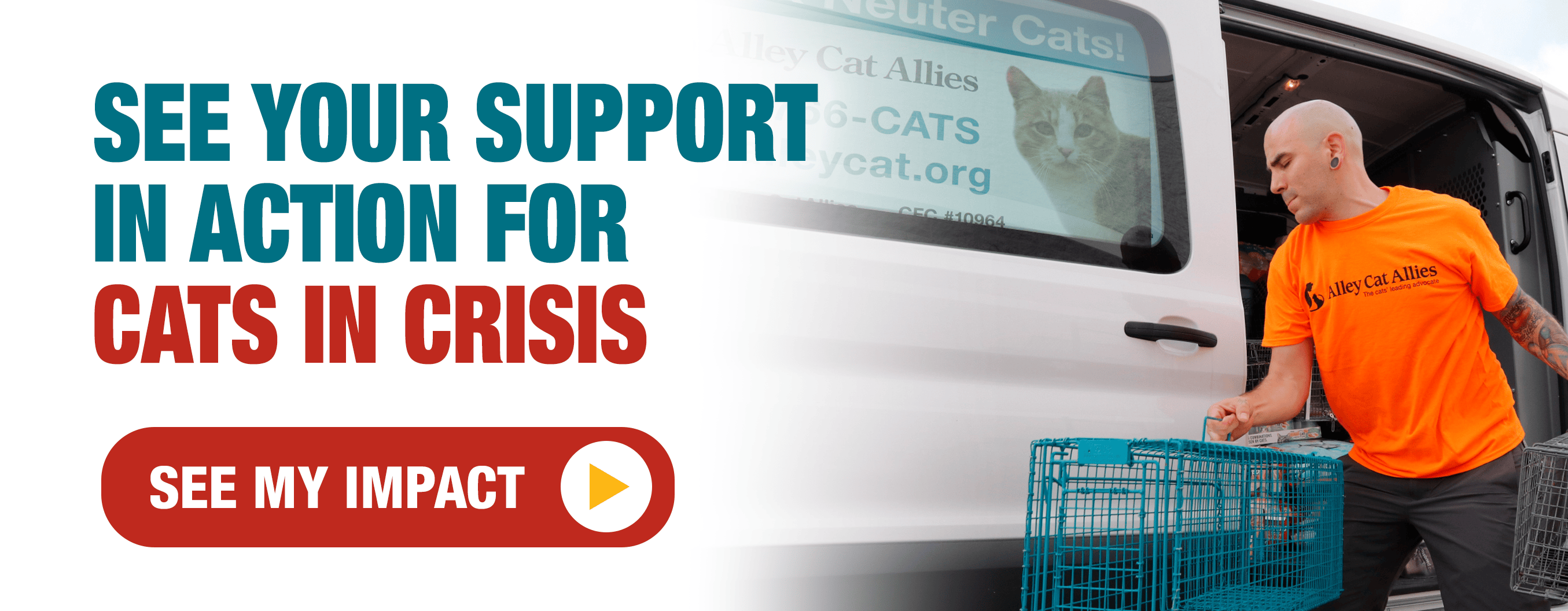 SEE YOUR SUPPORT IN ACTION FOR CATS IN CRISIS] [SEE MY IMPACT]