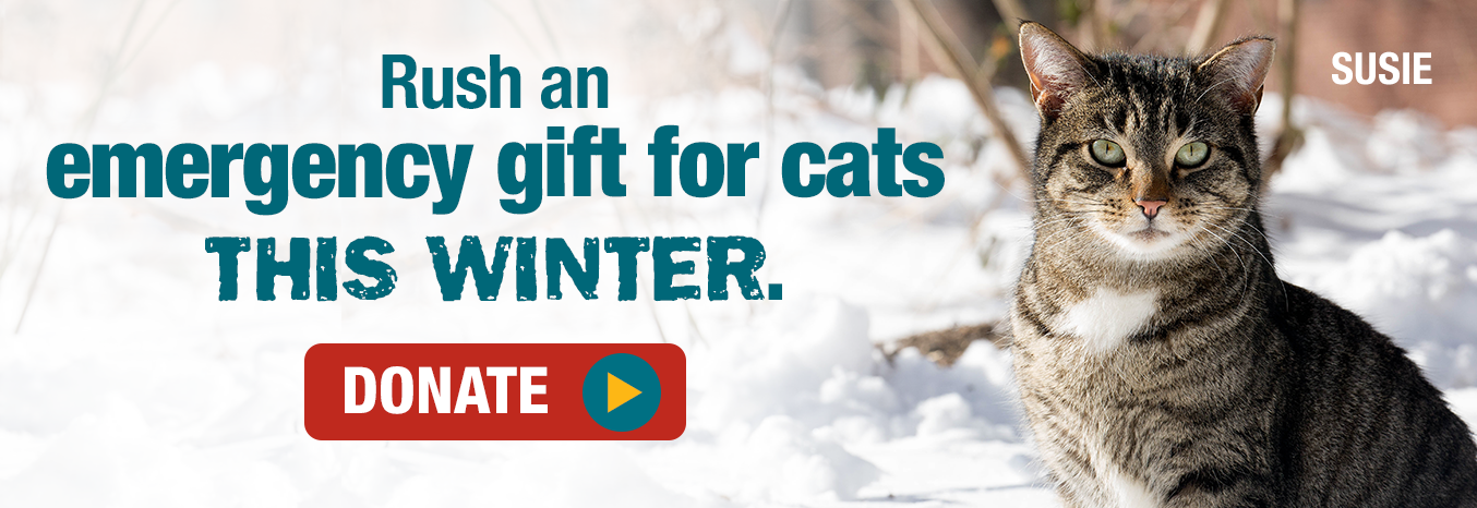 Emergency Winter Gift Needed