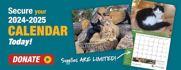 Secure your 2024-2025 Calendar today! 