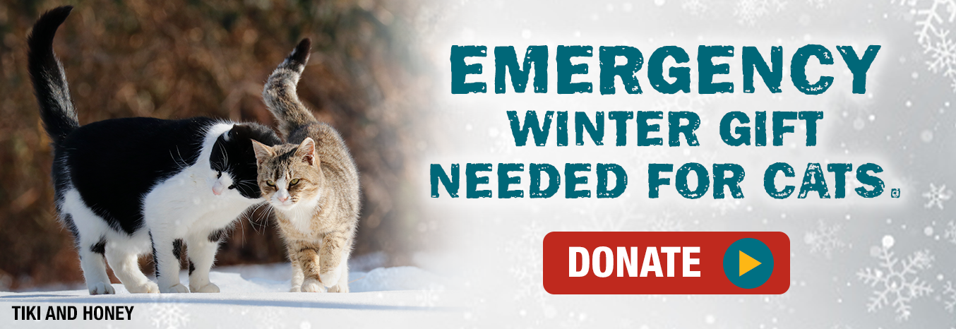 Emergency Winter Gift Needed