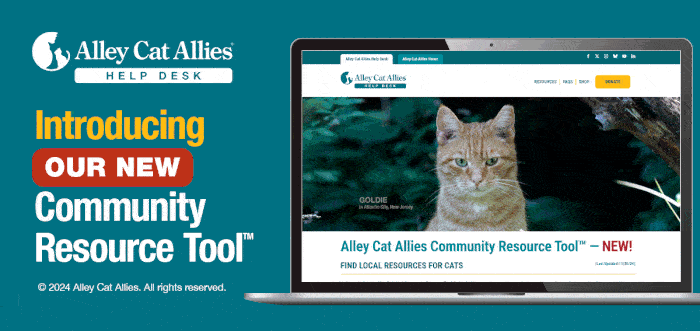 Community Resource Tool