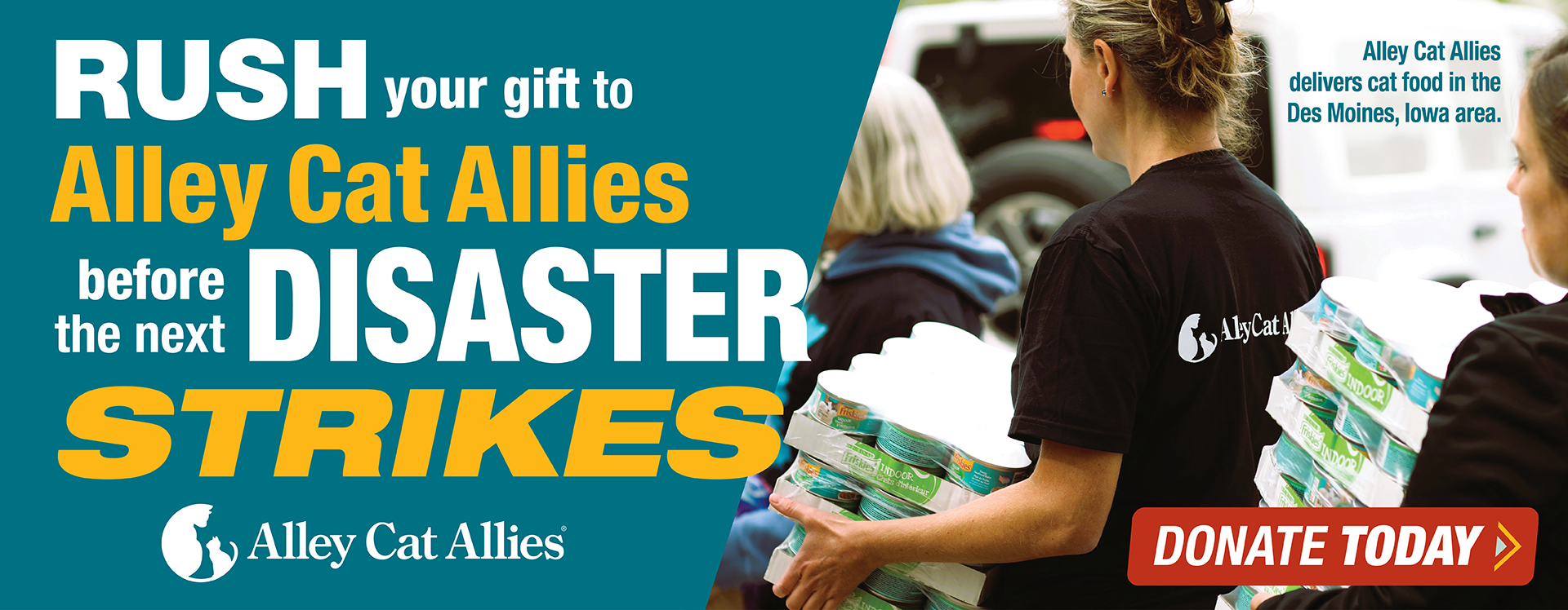 Rush your gift to Alley Cat Allies before the next disaster strikes.