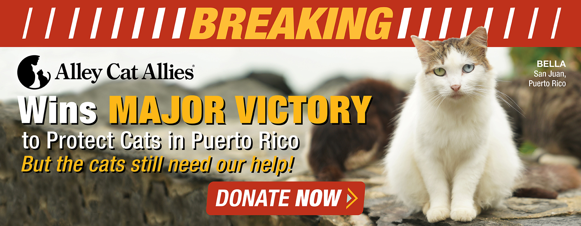 ALLEY CAT ALLIES WINS MAJOR VICTORY in fight to SAVE CATS at Puerto Rico Historic Site. Help us permanently strike down the U.S. National Park Service's deadly plan. Donate now.