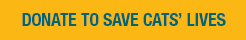 Donate to Save Cats' Lives