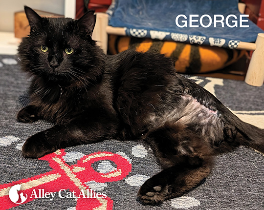 George